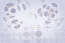 Network graph of the CNS-produced database.