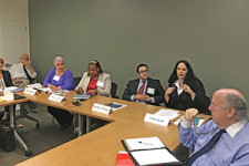 Dr. Chen Kane makes an intervention during the BWC workshop